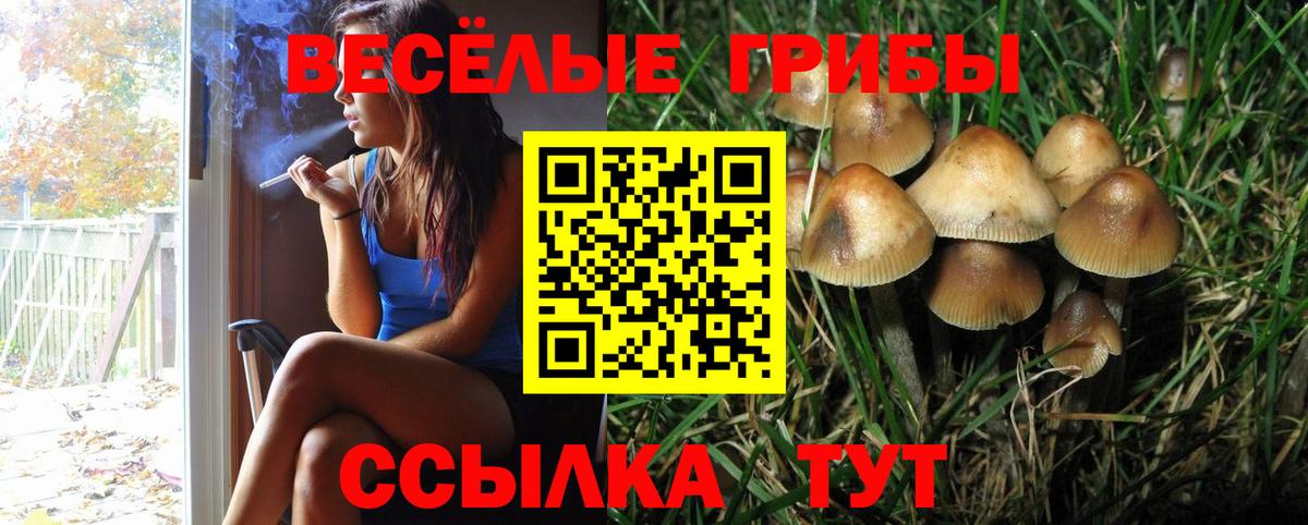 Галлюциногенные грибы ЛСД  Вход с VPN  Волжск 