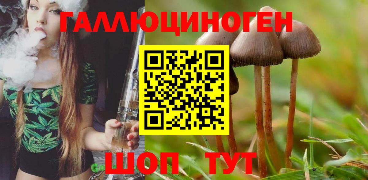 Галлюциногенные грибы Cubensis Волжск